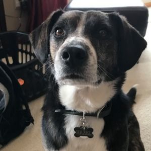 Meet your Posher, Gavin